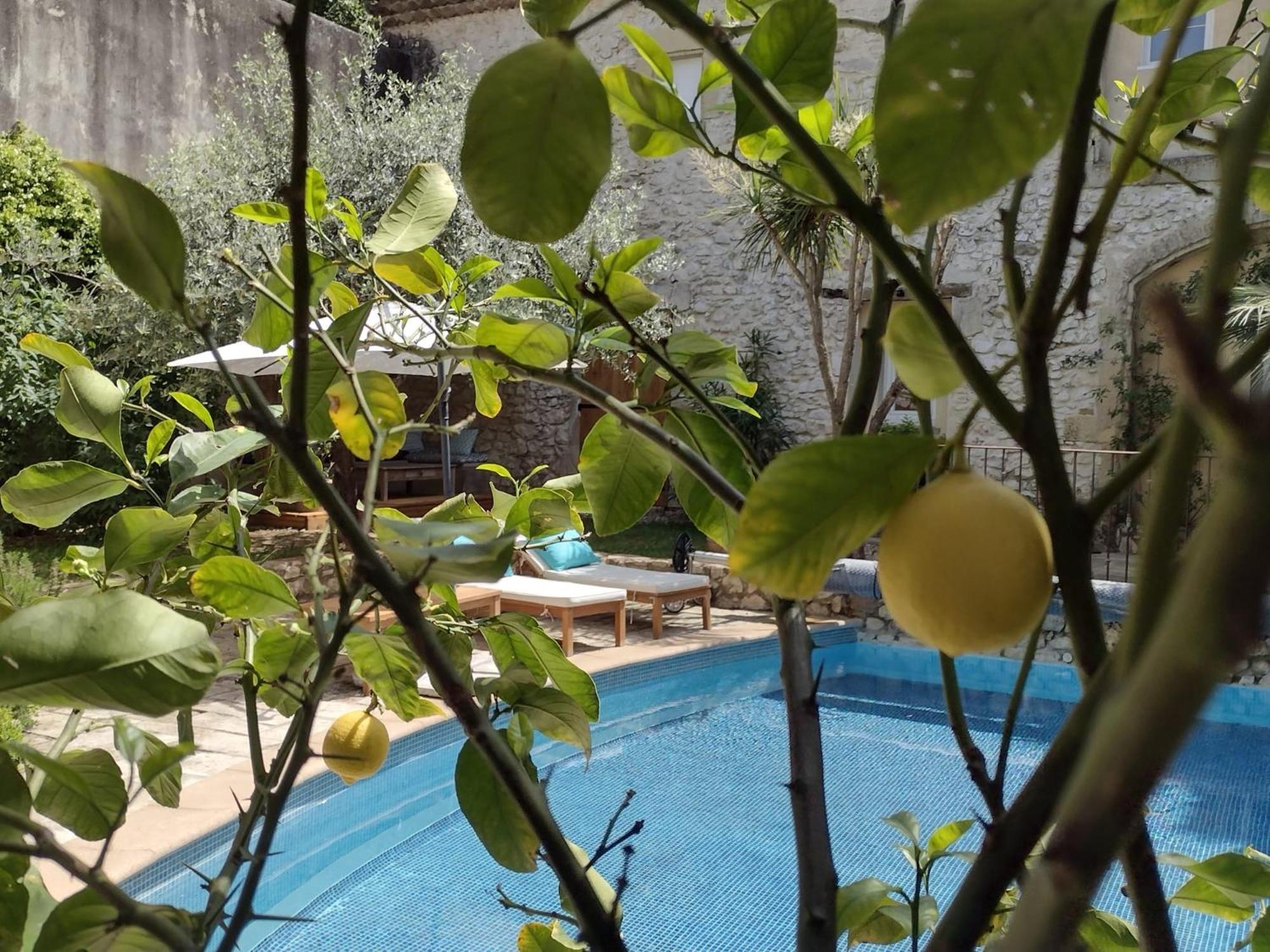 La Maison Des Autres, Piscine Chauffee, Chambres D'Hotes Proches Uzes, Nimes, Pont Du Gard Saint-Genies-de-Malgoires Eksteriør billede