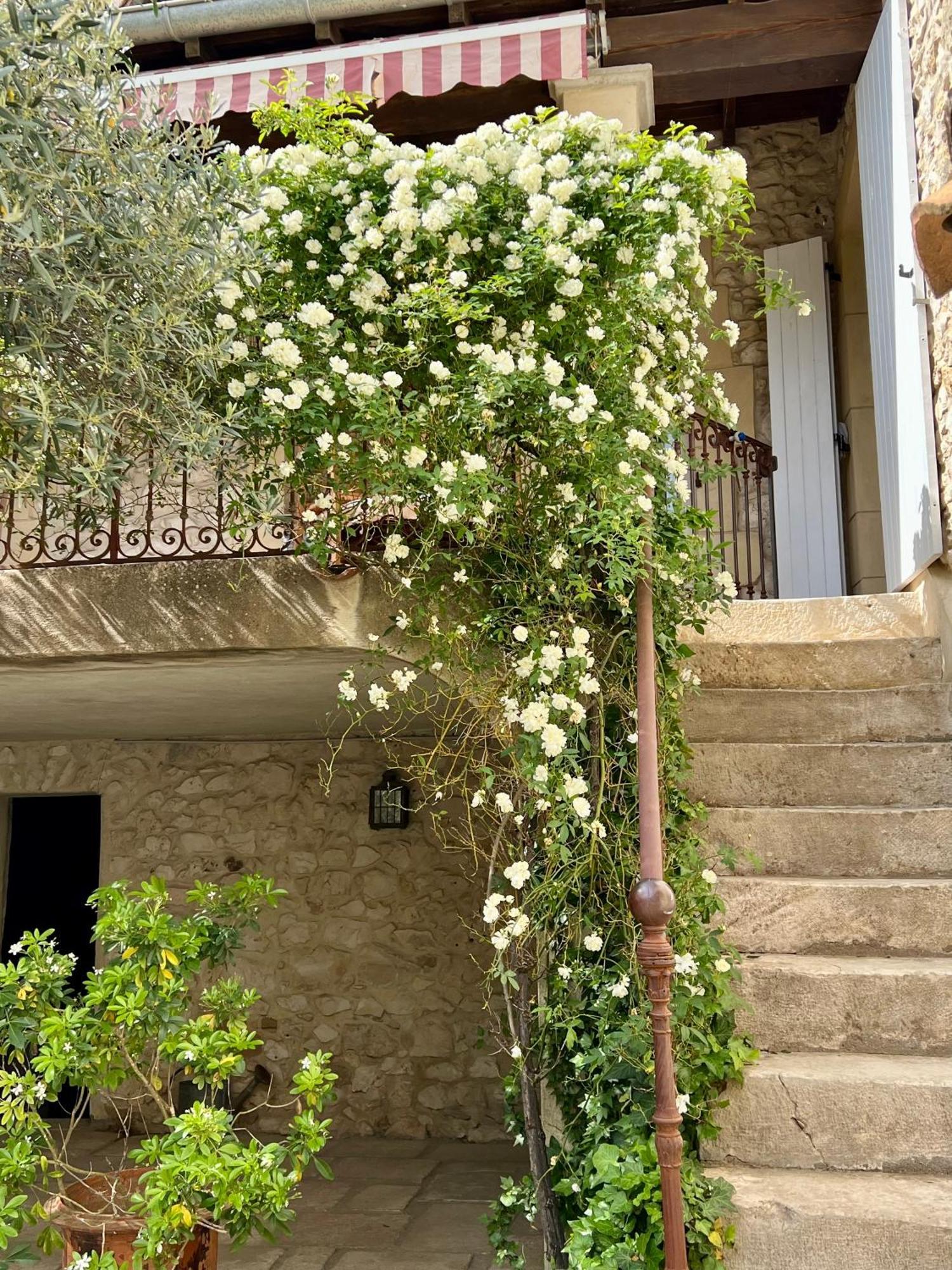 La Maison Des Autres, Piscine Chauffee, Chambres D'Hotes Proches Uzes, Nimes, Pont Du Gard Saint-Genies-de-Malgoires Eksteriør billede